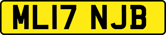 ML17NJB