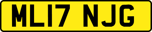ML17NJG