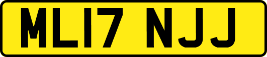 ML17NJJ
