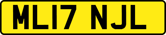 ML17NJL