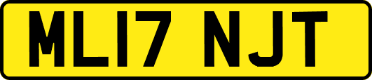ML17NJT