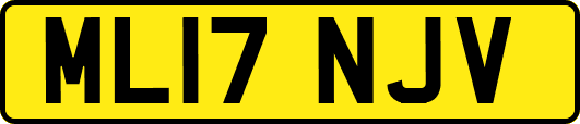 ML17NJV