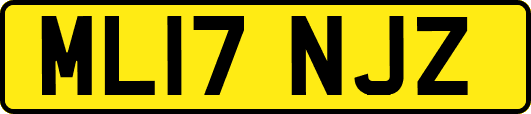 ML17NJZ