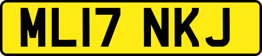 ML17NKJ