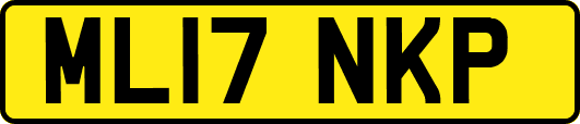 ML17NKP