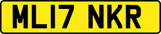 ML17NKR