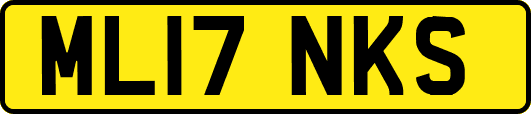 ML17NKS