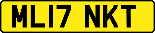 ML17NKT