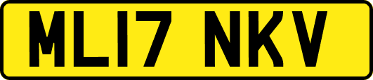 ML17NKV
