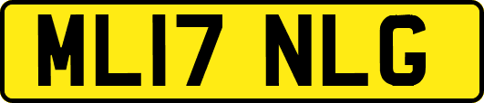 ML17NLG