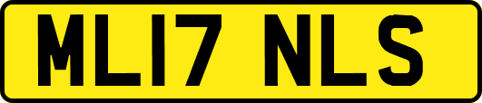 ML17NLS