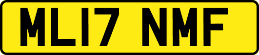 ML17NMF