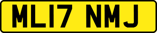 ML17NMJ