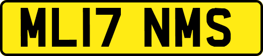 ML17NMS