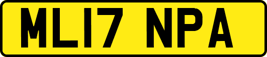 ML17NPA