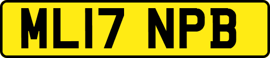 ML17NPB