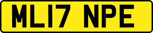 ML17NPE