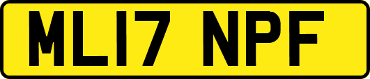ML17NPF