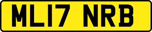 ML17NRB