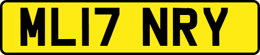 ML17NRY