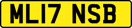ML17NSB