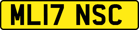 ML17NSC