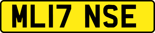 ML17NSE