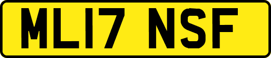 ML17NSF