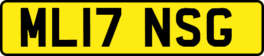 ML17NSG