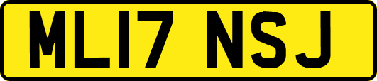 ML17NSJ
