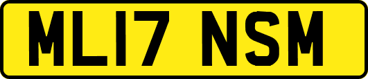 ML17NSM