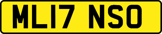 ML17NSO