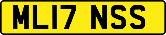ML17NSS