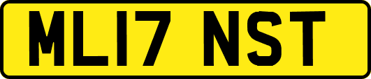 ML17NST