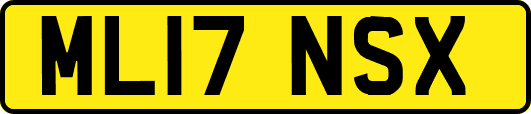 ML17NSX