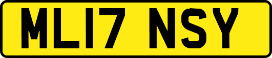 ML17NSY