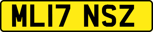 ML17NSZ