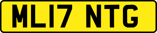 ML17NTG