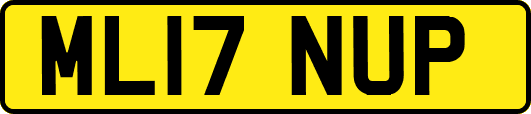 ML17NUP