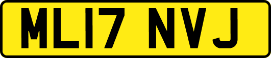 ML17NVJ