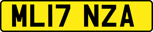 ML17NZA