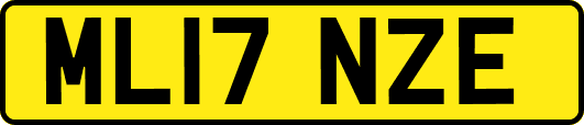ML17NZE