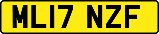 ML17NZF