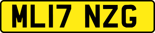 ML17NZG