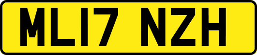 ML17NZH