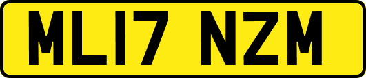 ML17NZM