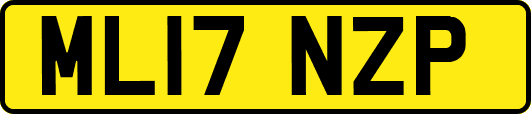 ML17NZP