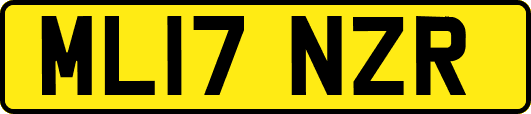 ML17NZR