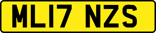 ML17NZS