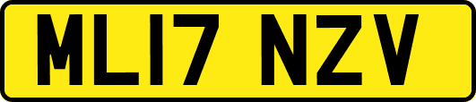 ML17NZV